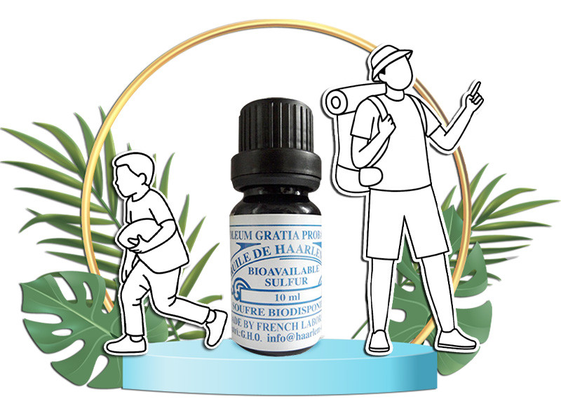 Haarlem Oil Liquid - 10 ml Dropper Bottle