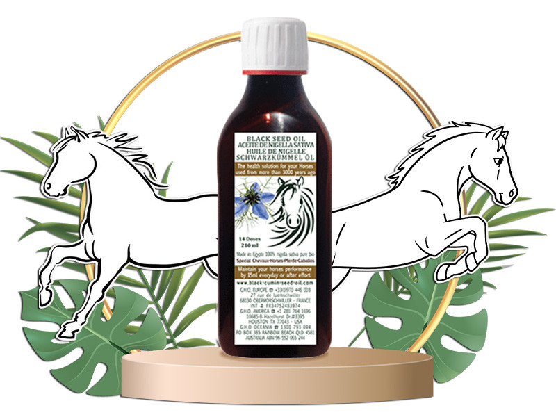 Organic Black Seed Oil for Horses – 210 ml Bottle