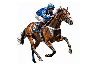 2 bottles of 210ml of 14 doses