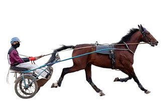 8 bottles of 210ml of 14 doses