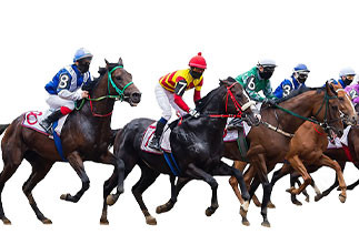 24 bottles of 210ml of 14 doses